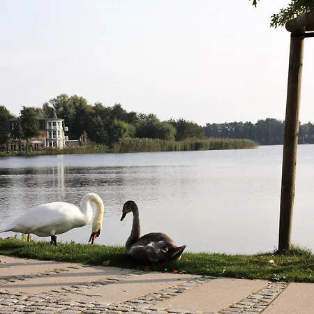 Brise Vineta Bansin App 04 아파트